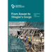 From Aswan to Stiegler's Gorge: Small stories about large dams