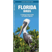 Florida Birds: A Folding Pocket Guide to Familiar Species