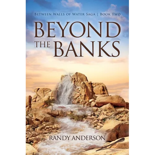 Beyond the Banks