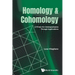 Homology and Cohomology: A Primer for Undergraduates Through Applications