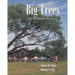 Big Trees: The Florida Register