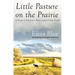 Little Pasture on the Prairie: A Decade of Tales from a Western South Dakota Ranch