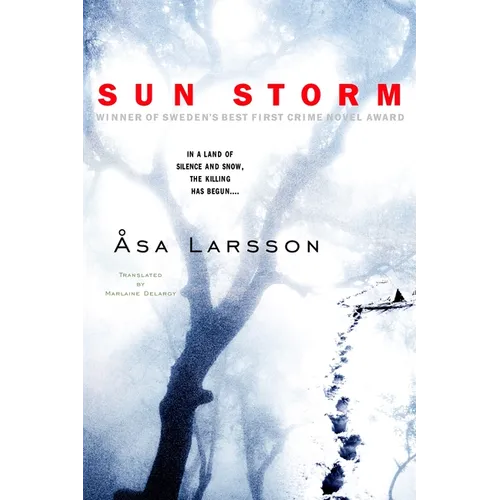 Sun Storm
