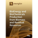 BioEnergy and BioChemicals Production from Biomass and Residual Resources