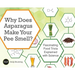 Why Does Asparagus Make Your Pee Smell?: Fascinating Food Trivia Explained with Science