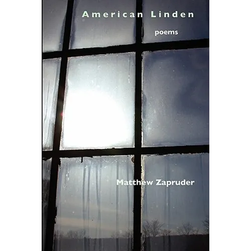 American Linden