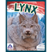 Lynx
