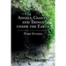 Angels, Giants, and Things under the Earth: Dark Studies