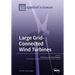 Large Grid-Connected Wind Turbines