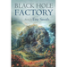 Black Hole Factory