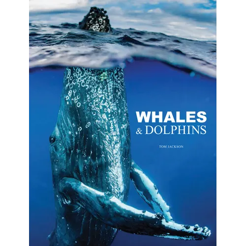 Whales & Dolphins