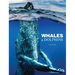 Whales & Dolphins
