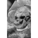 Pareidolia