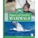 Biggest and Smallest Mammals