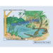 Peter Platypus's Pond