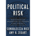 Political Risk: How Businesses and Organizations Can Anticipate Global Insecurity