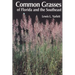 Common Grasses of Florida & The Southeast