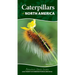 Caterpillars of North America: Easily Identify 90 Common Butterflies and Moths