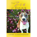 The Zen of Dogs: Wisdom That Wags the Tail