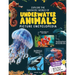 Explore Fantastic World of Underwater Animals Picture Encyclopedia
