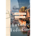 The Inner Harbour: A Post-Exotic Novel
