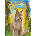 Lynx