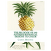 The Big Book of 100 Botanical Designs to Color