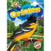Orioles