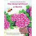 The Rose Without a Name: The Story of the Katrina Rose