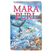 When Whales Watch: Milford-Haven Novella