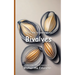 It's Time to Learn about Bivalves