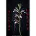 Orchids of Lesvos