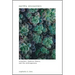 Earthly Encounters: Sensation, Feminist Theory, and the Anthropocene