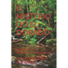 O Mistério Do El Dorado: Aventuras Na Floresta Amazônica