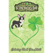 St Patricks Day Coloring Book For Adult: Boston Terrier Dog Mom Dad Shamrock An Adult Coloring Books St Patrick for Kids, Adults with Beautiful Irish