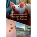 Mycoplasmas in Swine