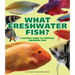 What Freshwater Fish?: A Buyer's Guide to Tropical Aquarium Fish