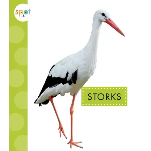 Storks