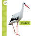 Storks