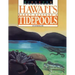 Discover Hawaii's Sandy Beaches and Tidepools