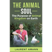The animal soul: The Purpose of Animal Kingdom on Earth