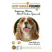 Lost Souls: FOUND! Inspiring Stories About Cocker Spaniels