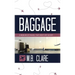 Baggage: A Memoir of Travel That Went off Script