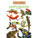 Amphibians