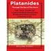 Platanides: Through the Eye of the Storm