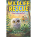 How to Save an Owl