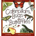 Caterpillars, Bugs and Butterflies