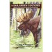 A Far Green Country: Hiking Tips from Isle Royale National Park