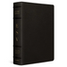 ESV Study Bible, Large Print (Buffalo Leather, Deep Brown)