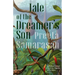 Tale of the Dreamer's Son